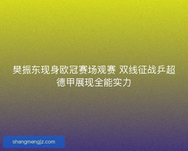 樊振东现身欧冠赛场观赛 双线征战乒超德甲展现全能实力
