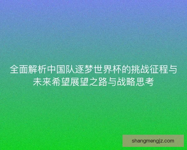 全面解析中国队逐梦世界杯的挑战征程与未来希望展望之路与战略思考