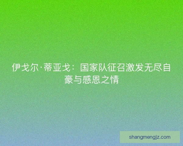 伊戈尔·蒂亚戈：国家队征召激发无尽自豪与感恩之情