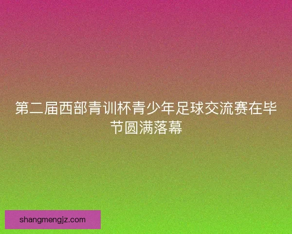 第二届西部青训杯青少年足球交流赛在毕节圆满落幕