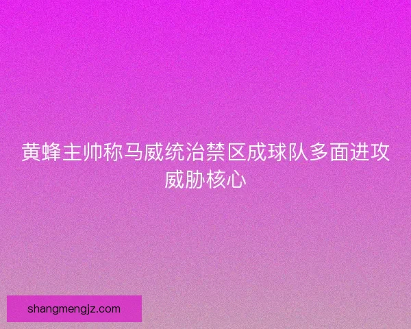 黄蜂主帅称马威统治禁区成球队多面进攻威胁核心 黄蜂主帅称马威统治禁区成球队多面进攻威胁核心