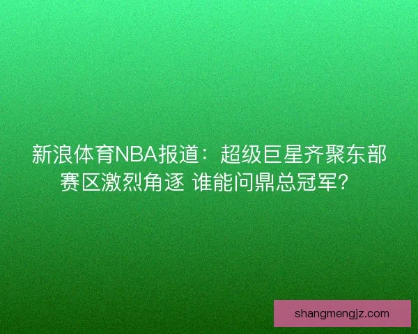 新浪体育NBA报道：超级巨星齐聚东部赛区激烈角逐 谁能问鼎总冠军？