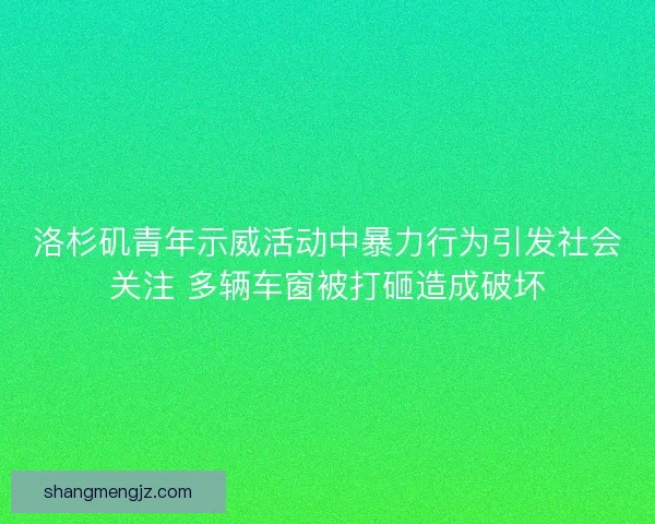 洛杉矶青年示威活动中暴力行为引发社会关注 多辆车窗被打砸造成破坏