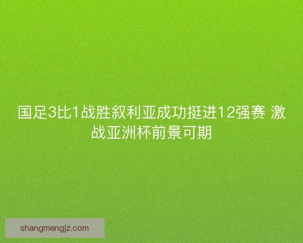 国足3比1战胜叙利亚成功挺进12强赛 激战亚洲杯前景可期 国足3比1战胜叙利亚成功挺进12强赛 激战亚洲杯前景可期